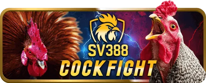 Quản lý vốn